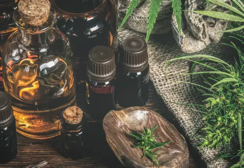 Verso una tavola eco-friendly: l'ascesa della ristorazione sostenibile