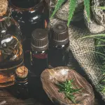 Verso una tavola eco-friendly: l'ascesa della ristorazione sostenibile